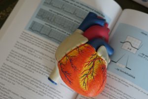 model of heart against a background of a book page